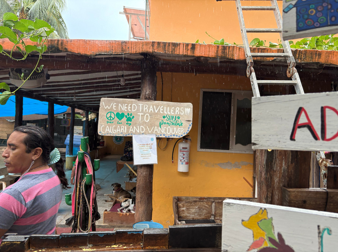 Refugio Holbox-Holbox Island必去景点