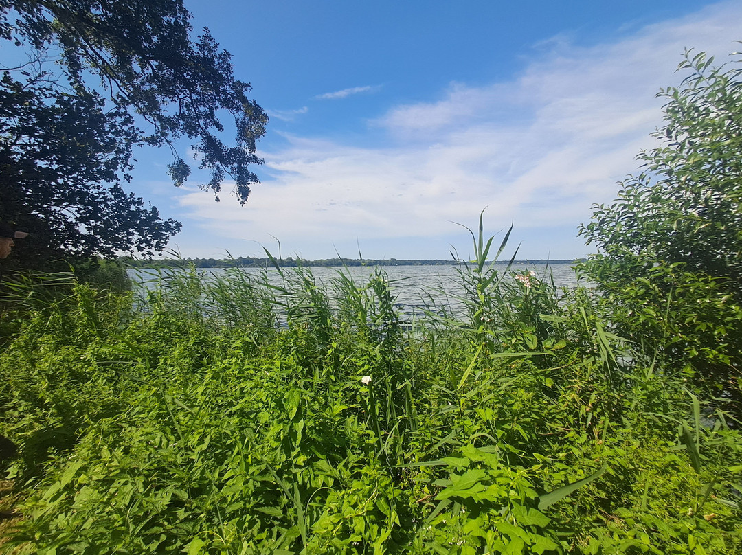 Aussichtsplattform Am Bad Zwischenahner Meer-Bad Zwischenahn必去景点