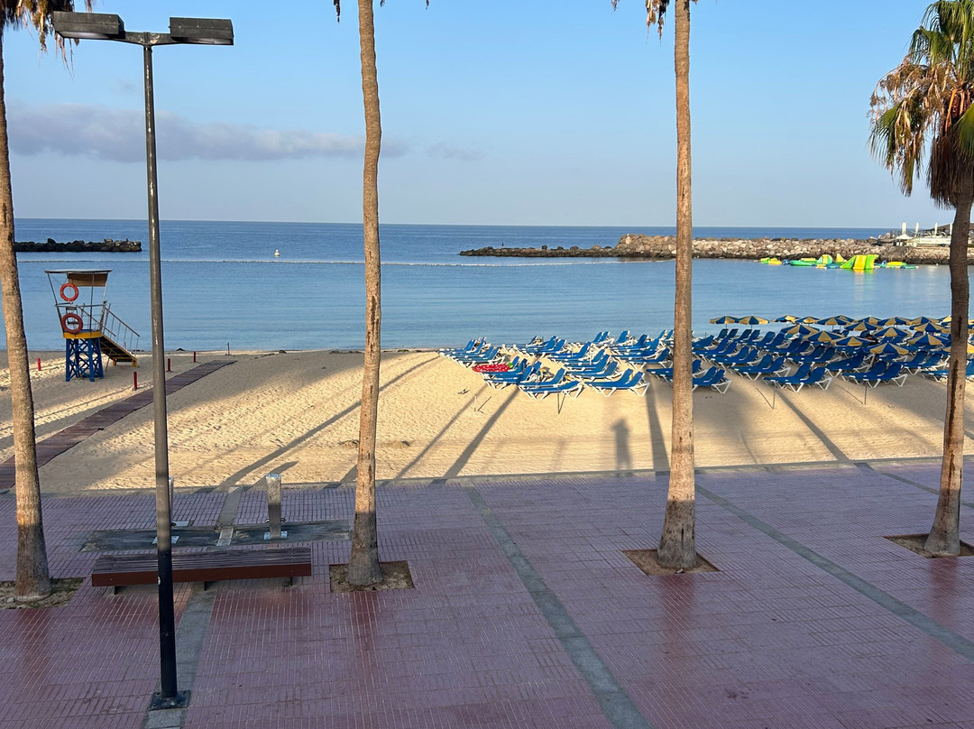 Playa Anfi del Mar-Barranco de la Verga必去景点