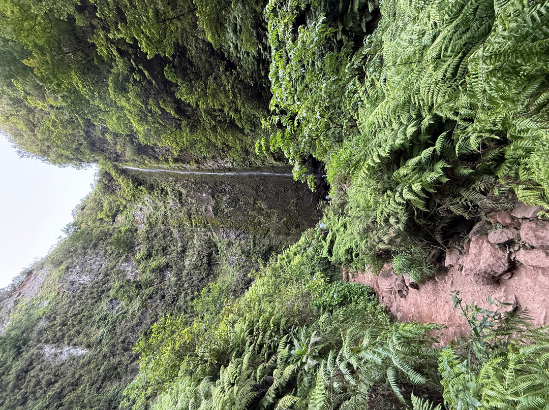 Levada Do Caldeirao Verde-Santana必去景点