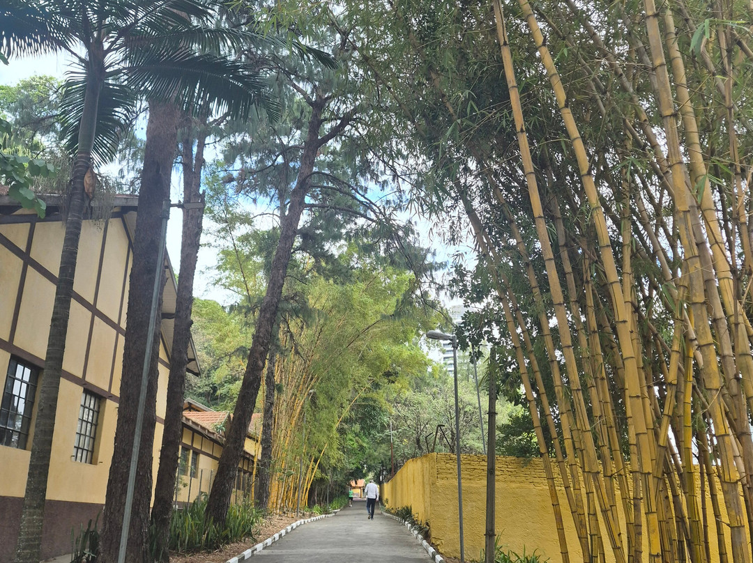 Parque Da Água Branca-圣保罗必去景点