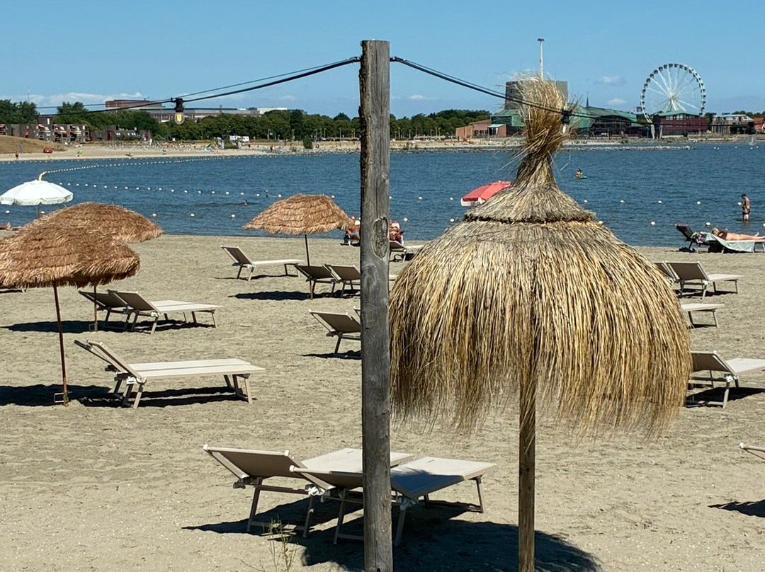 Stadsstrand Hoorn-霍伦必去景点