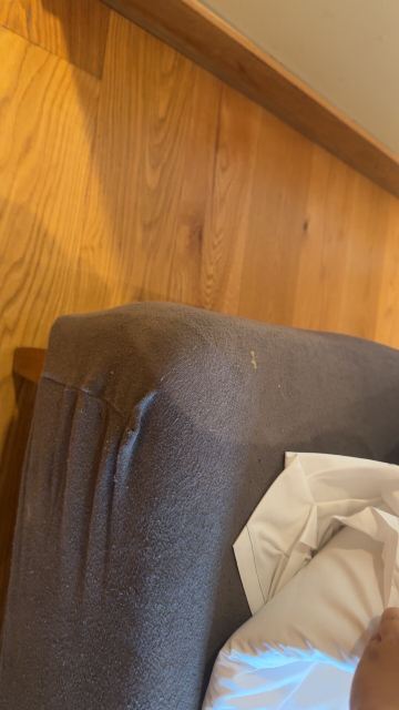 阿尔假日俱乐部酒店-旅行者