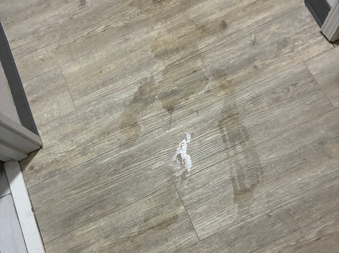 什里夫波特I-49舒适酒店主图