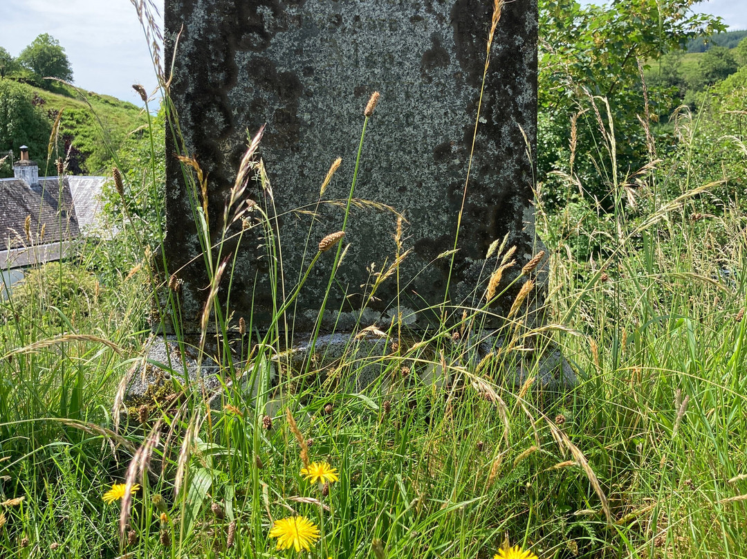 Historic Kilbride Cemetary-奥本必去景点
