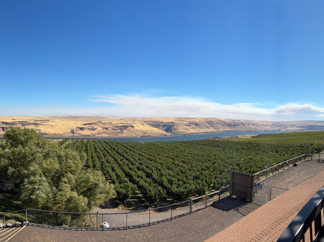 Maryhill Winery-Goldendale必去景点