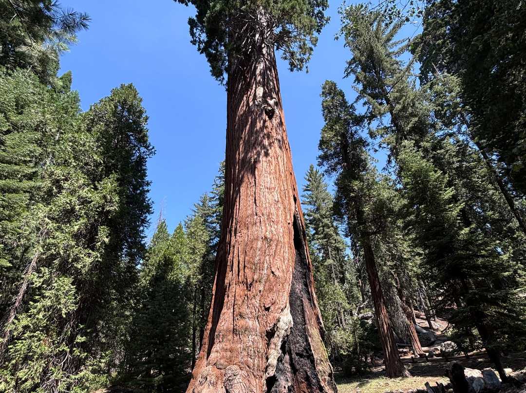 Kings Canyon-红杉&国王峡谷国家公园必去景点