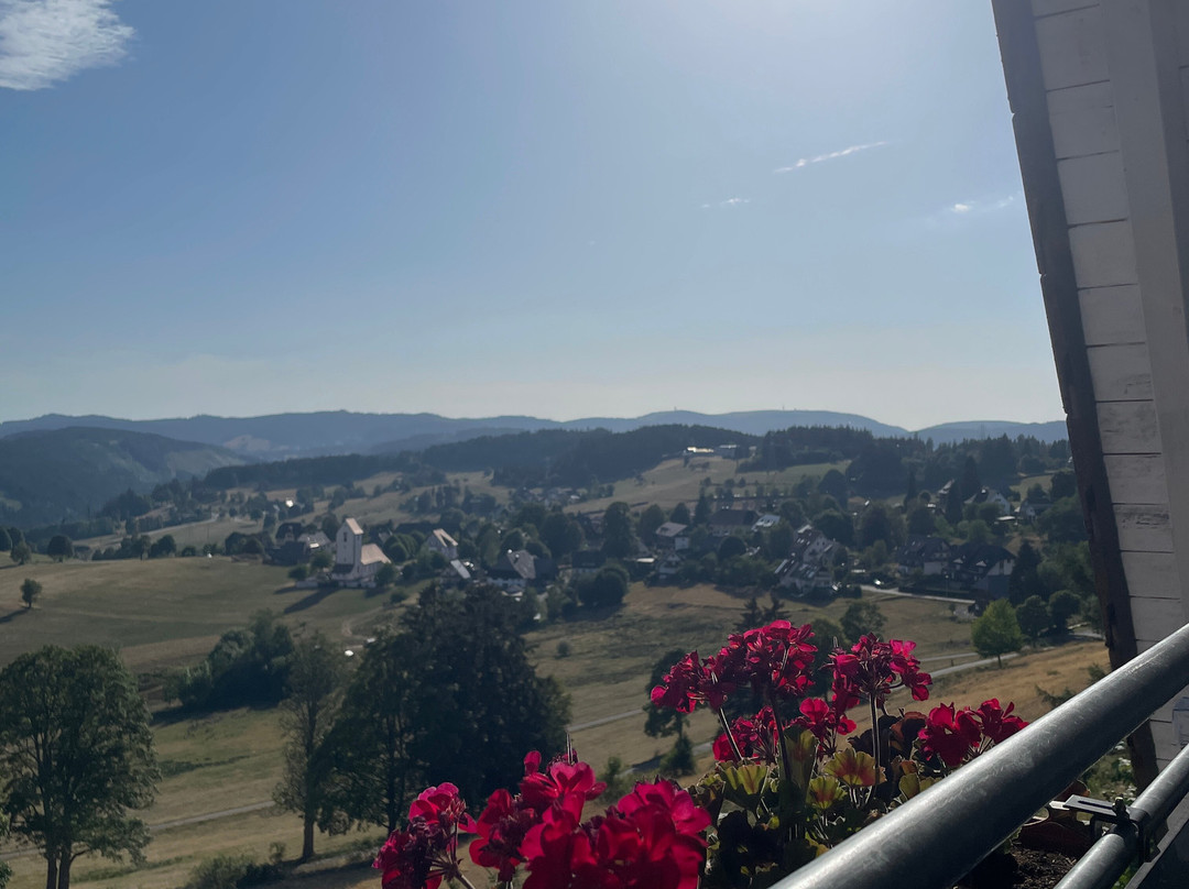 JUFA Hotel Schwarzwald主图