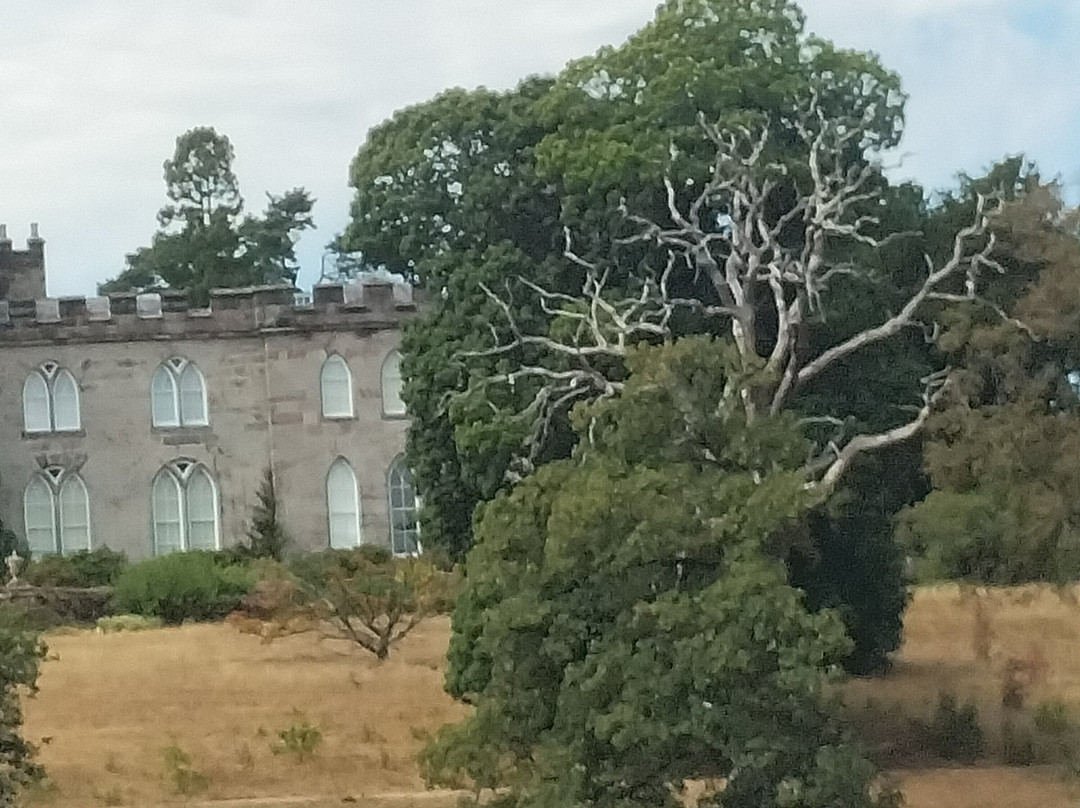 Cholmondeley Castle Gardens-Cholmondeley必去景点