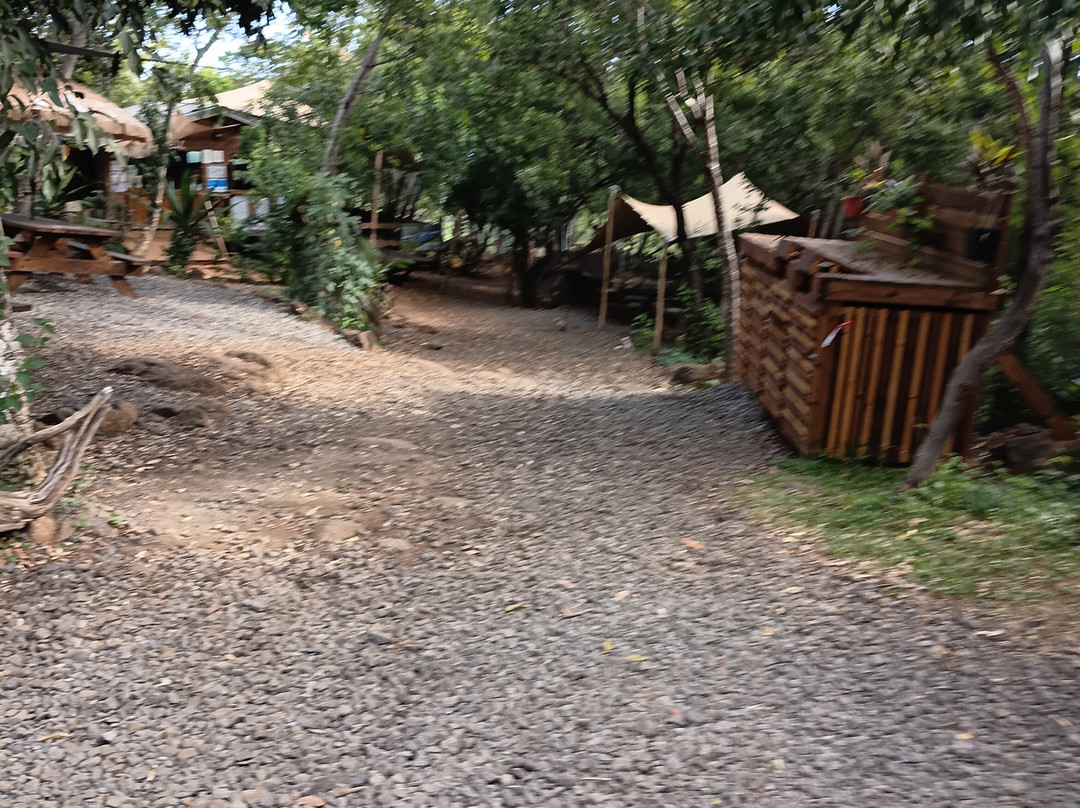 Acroroc Parc Adventure-留尼旺圣皮耶必去景点