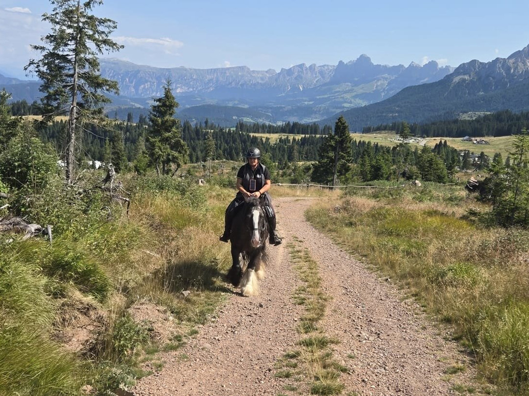 Reitzentrum Angerle Alm-诺瓦莱万泰必去景点