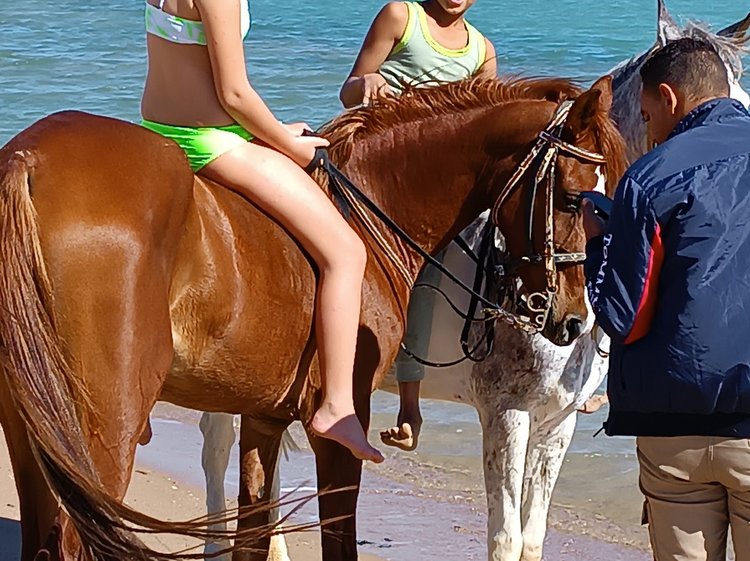 Nice Horse Tours-Hurghada 1必去景点