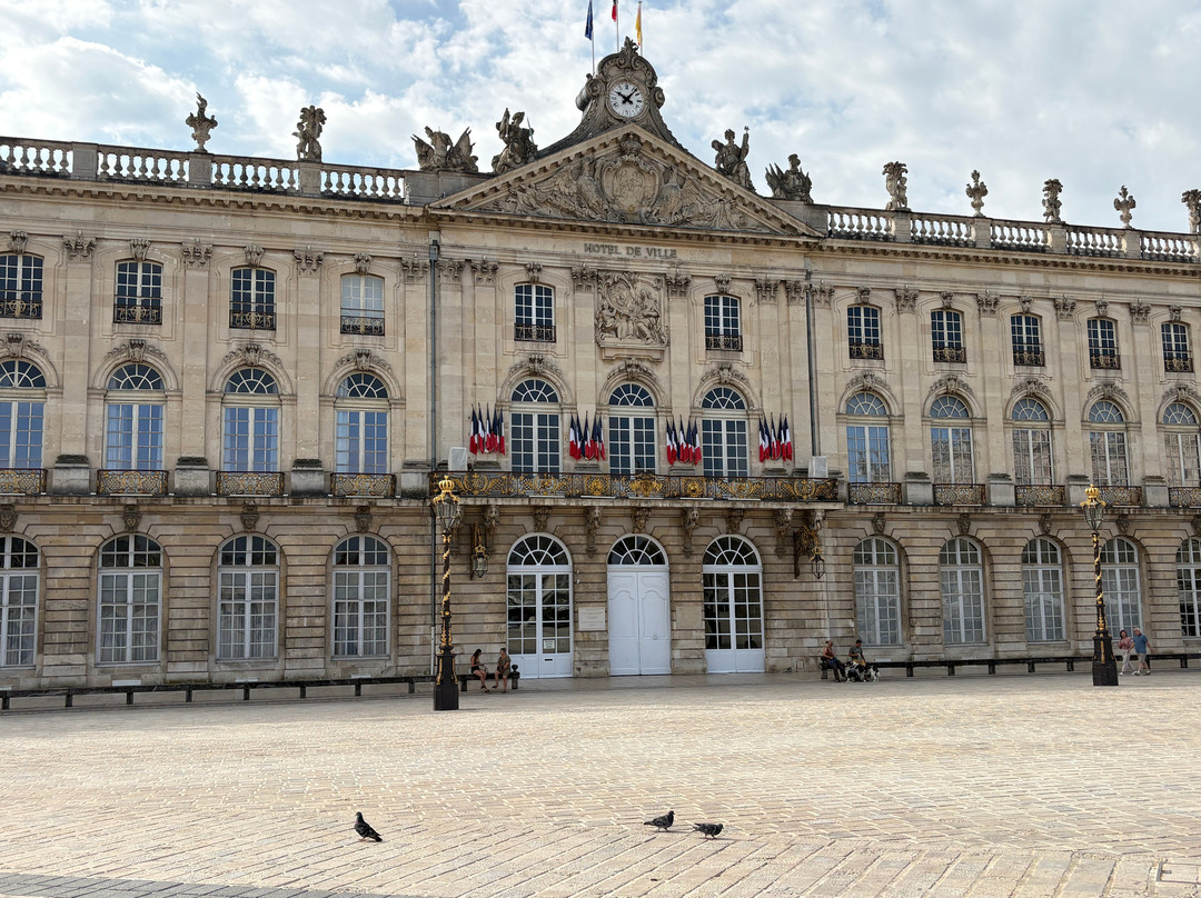 Nancy City Hall-南锡必去景点