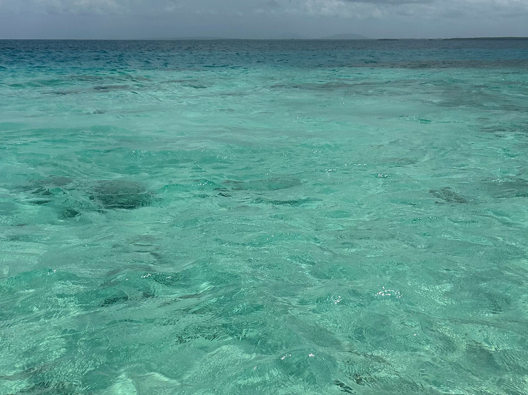 Wasini Trips-Wasini Island必去景点