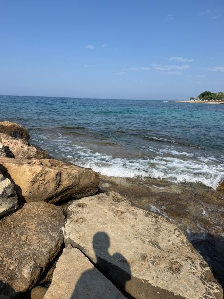 路易斯莱德拉海滩酒店-旅行者