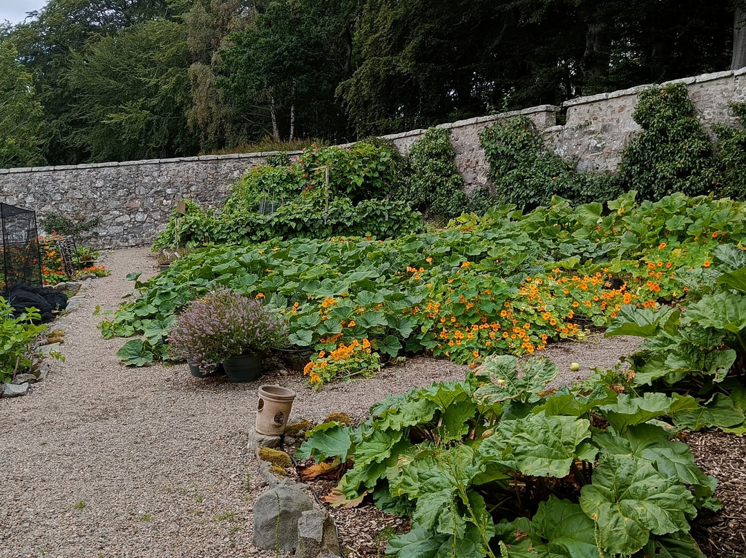 Leith Hall, Garden and Estate-Huntly必去景点