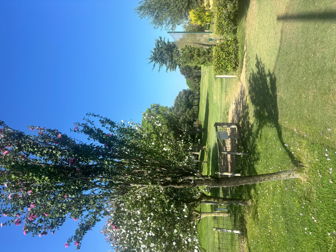 Pitch & Putt Castello Empuriabrava-Castello d'Empuries必去景点