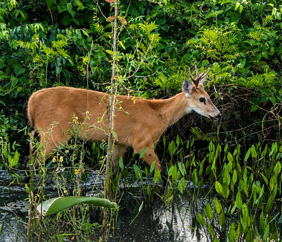 Pantanal Vip Service Turismo-Varzea Grande必去景点