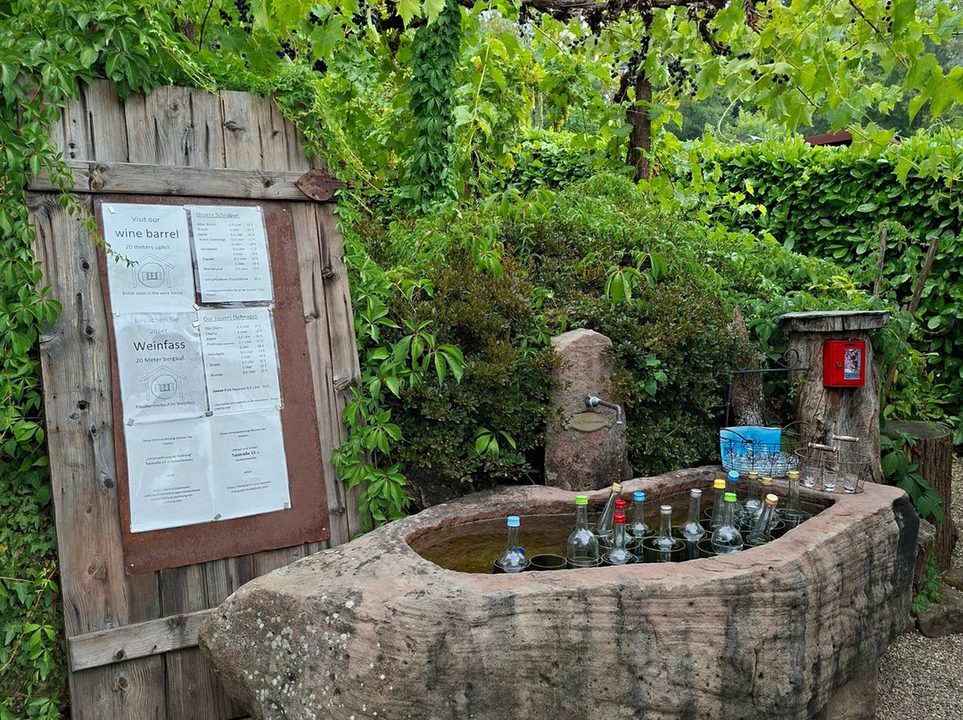 Shcnapsbrunnenweg-Sasbachwalden必去景点
