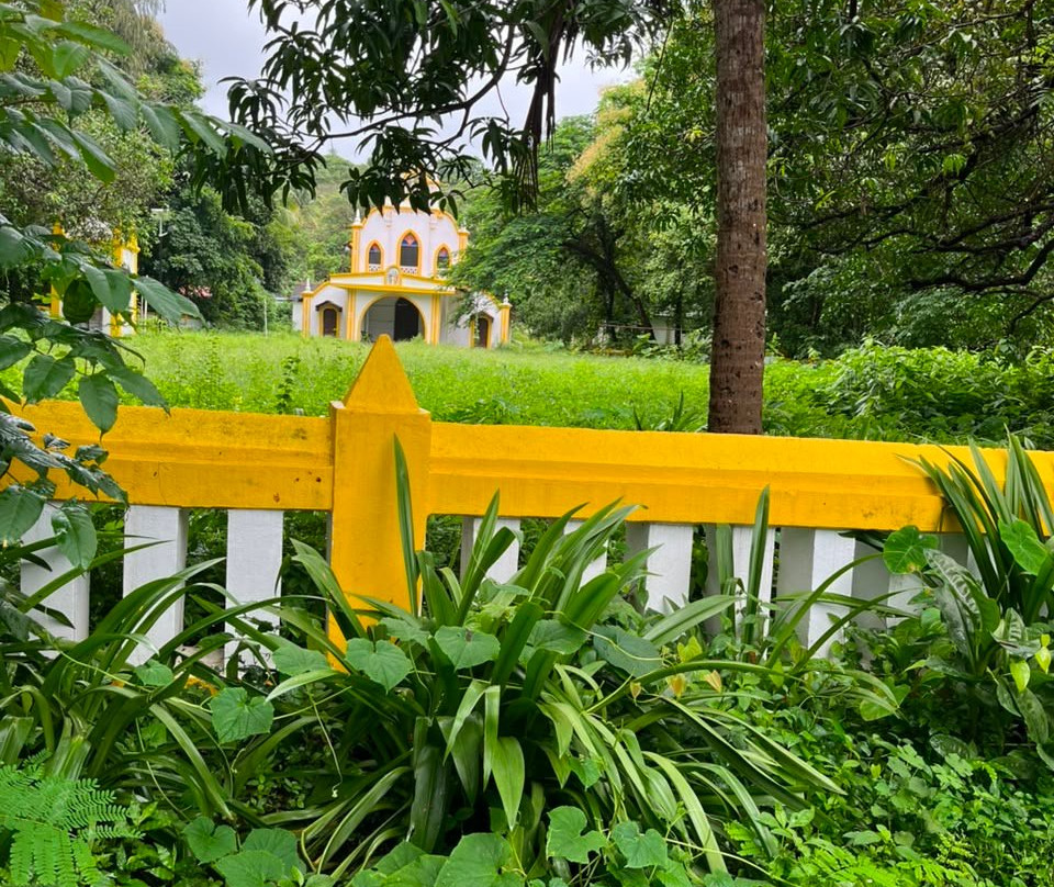 The Island Sanctuary Goa主图