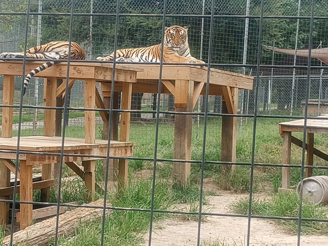 Animal Park NC-伯灵顿必去景点
