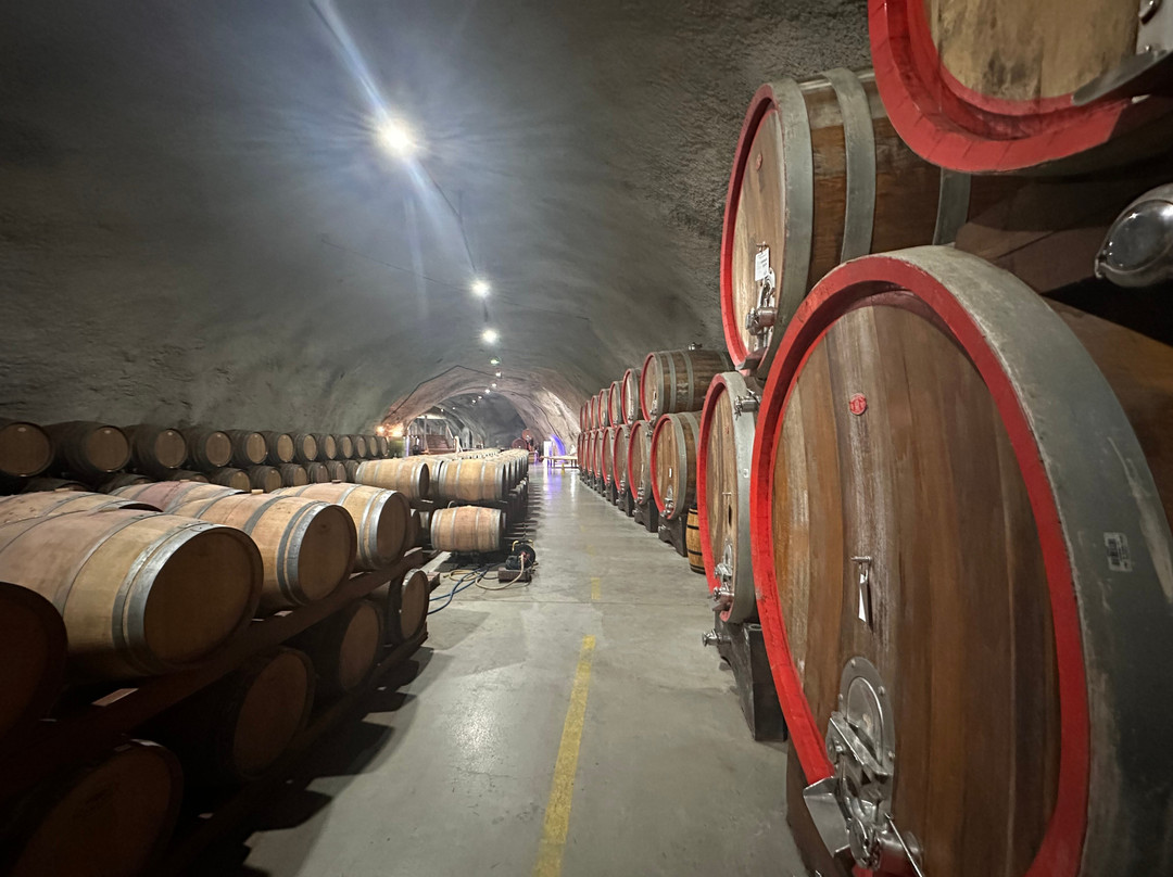 Wine Cellar Šipčanik, 13.jul Plantaže-Tuzi必去景点