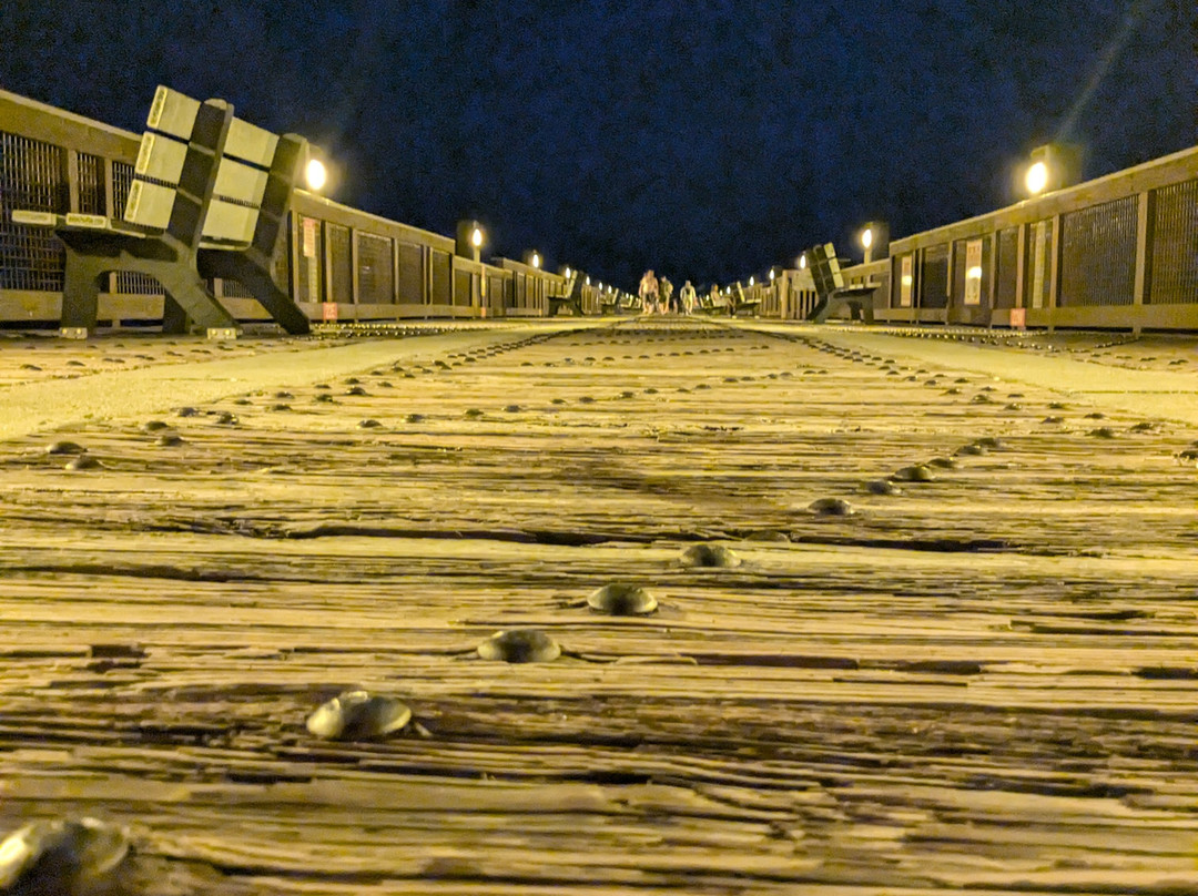 Pensacola Beach-彭萨科拉海滩必去景点