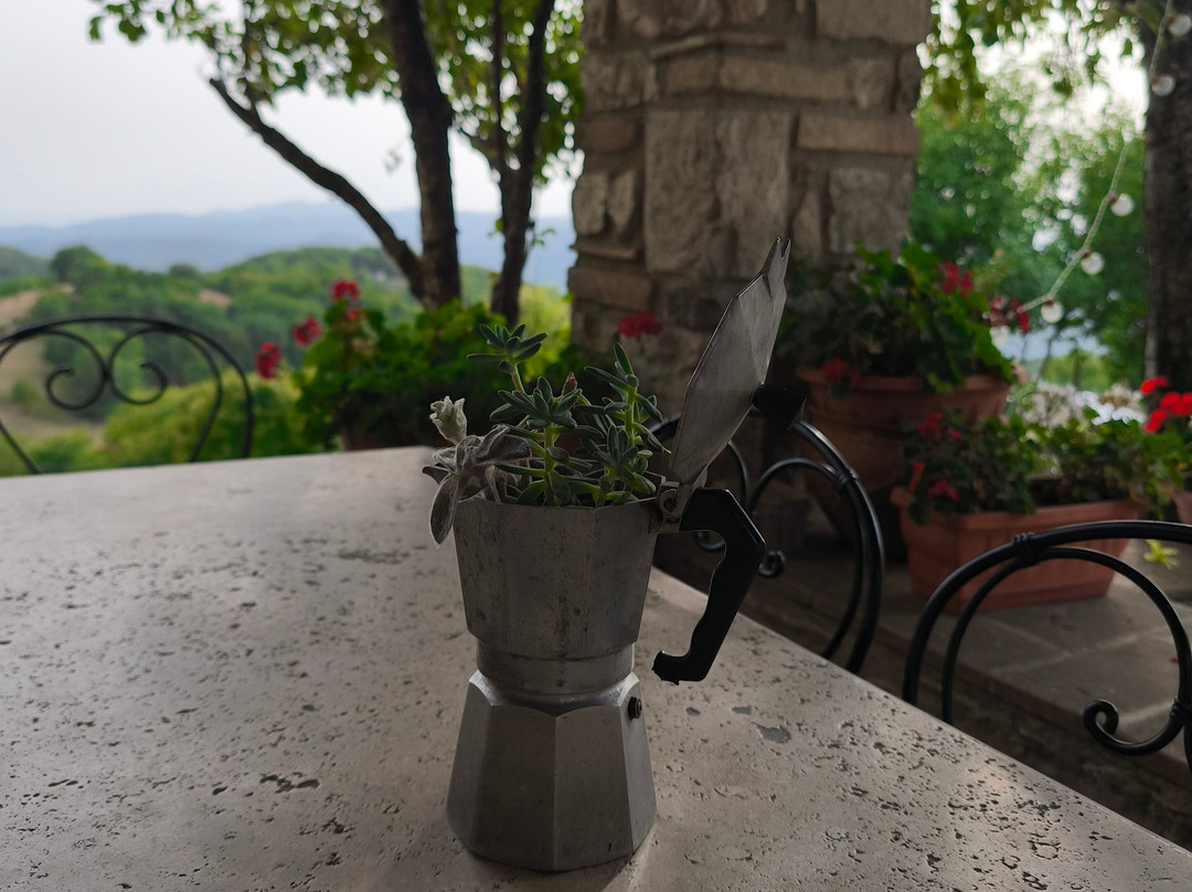 Agriturismo Bartoli主图