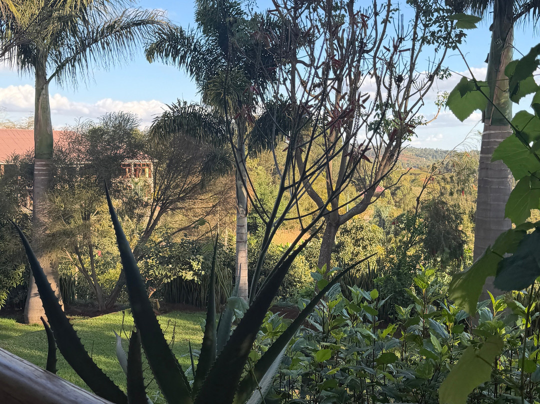 Ngorongoro Marera Mountain View Lodge主图