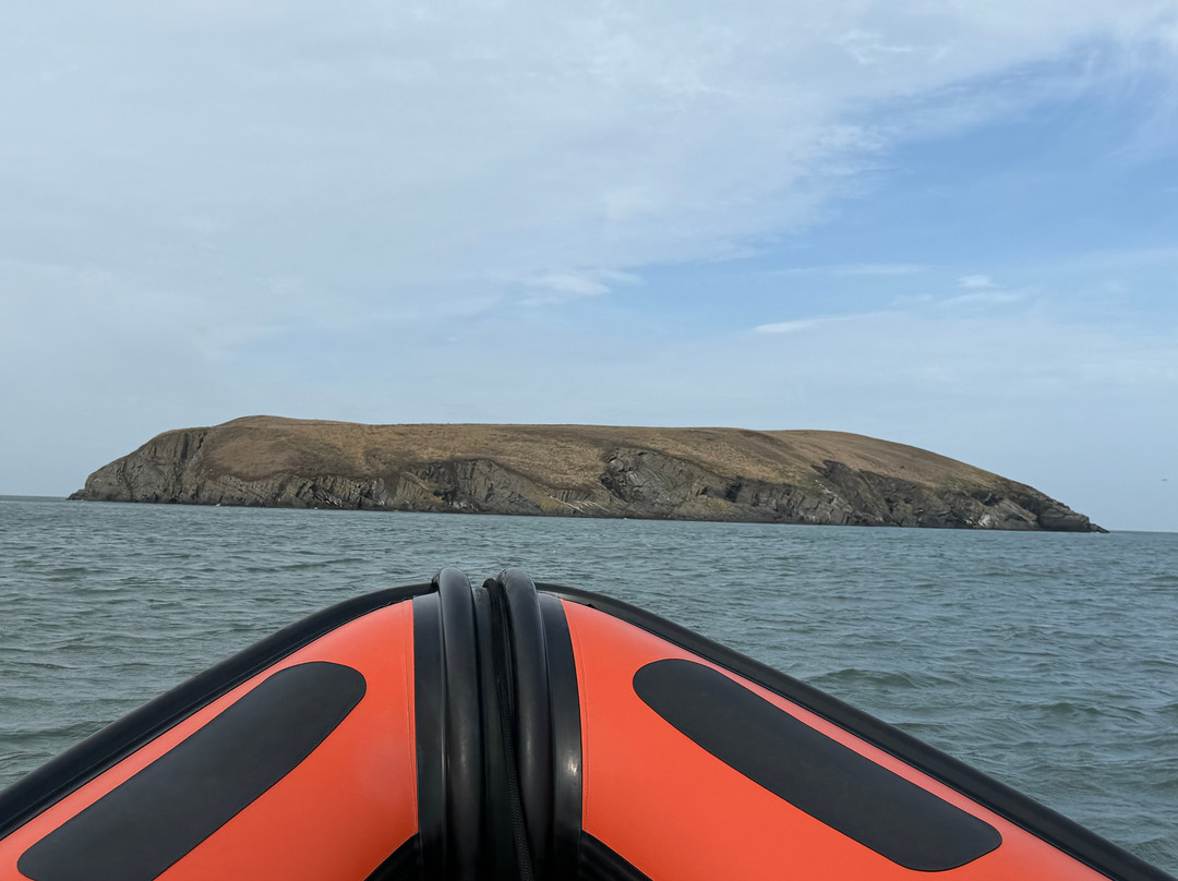 A Bay To Remember Wildlife Boat Trips-St. Dogmaels必去景点