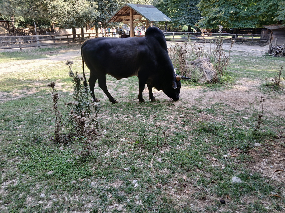 Parco Natura Viva-布索伦戈必去景点