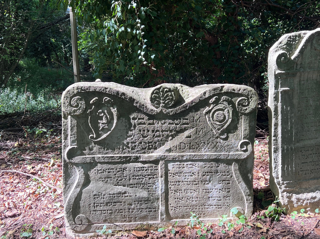 Antico Cimitero Ebraico di Conegliano-科内利亚诺必去景点