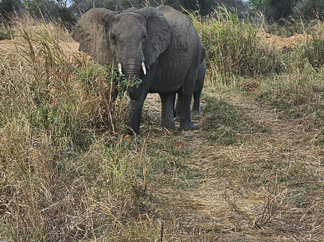 Passionate Safaris-Dar es Salaam必去景点