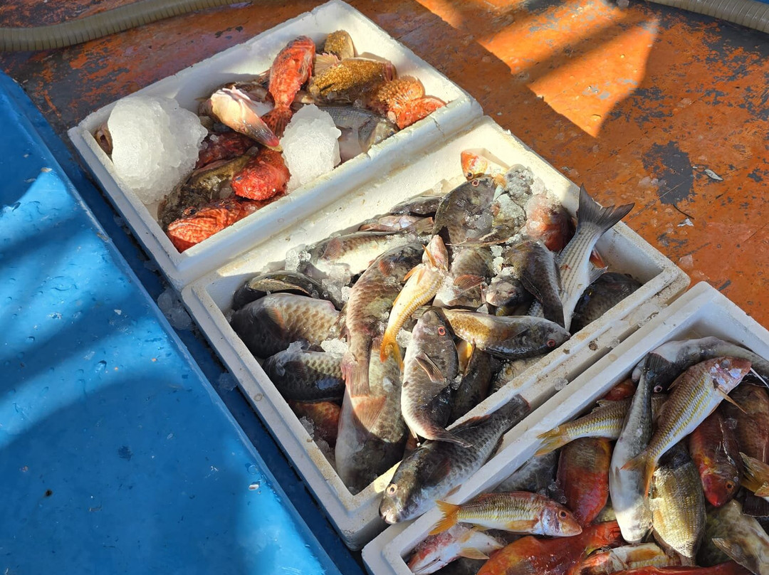 Fishing Tourism Kefalonia Michalis-Svoronata必去景点