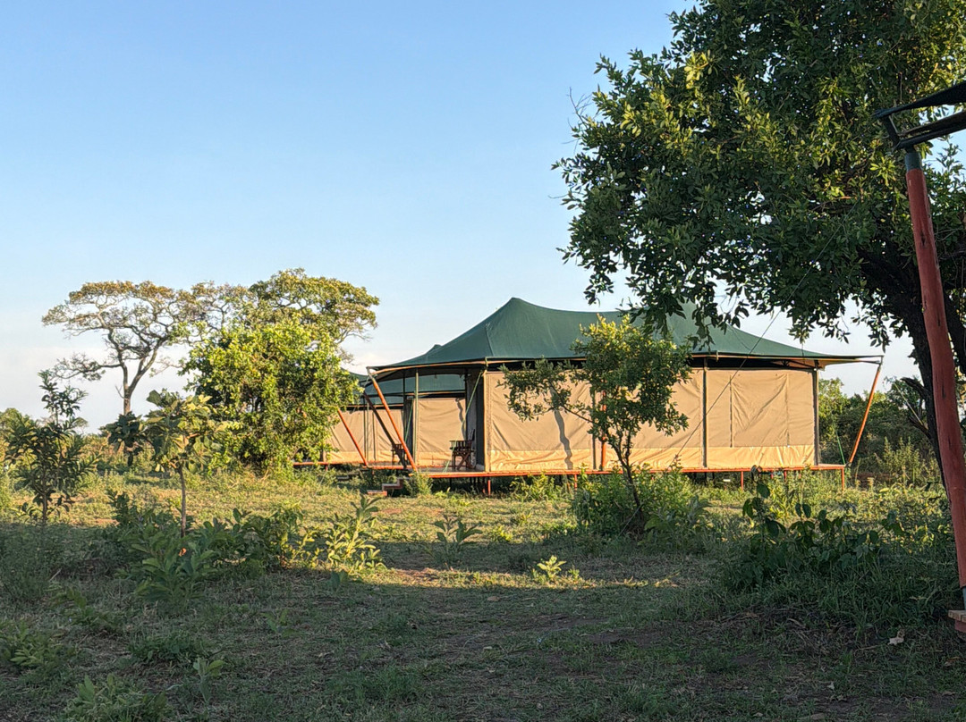 Friends Camps and Lodge-Seronera必去景点