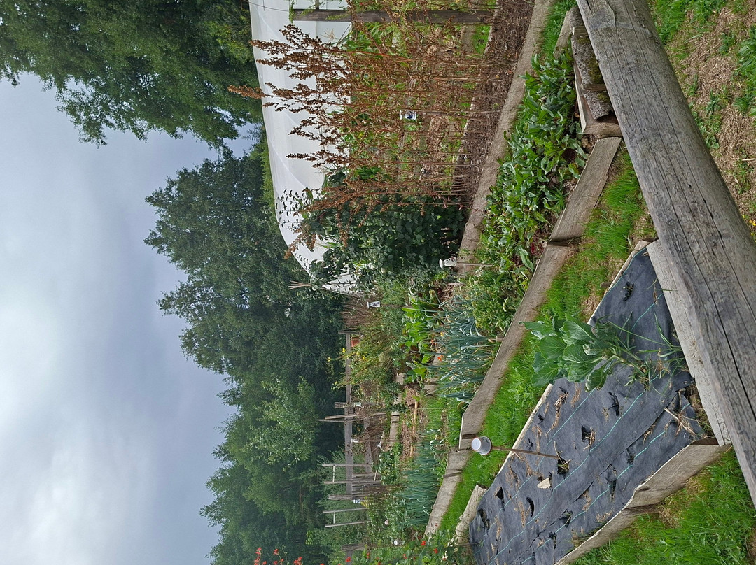 Ô P'tit Creux du Jardin