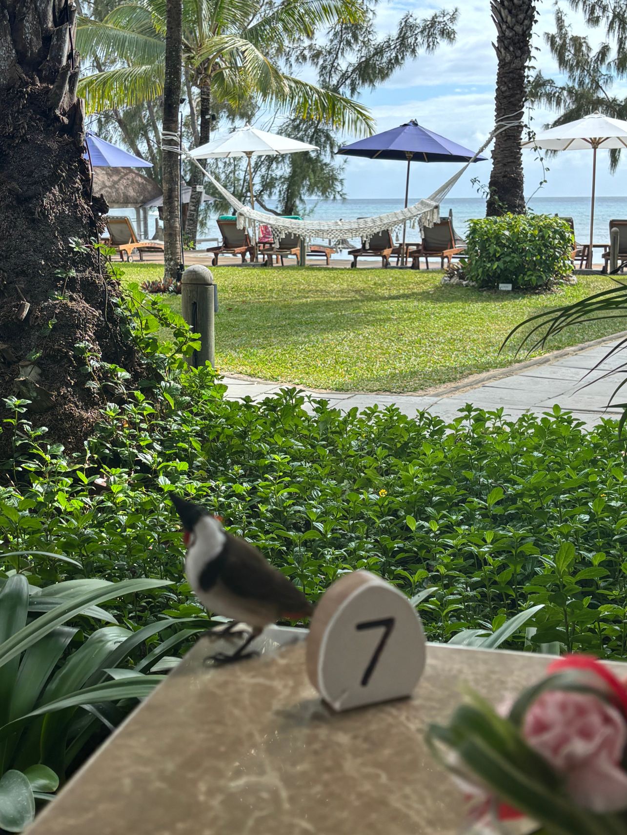 海角精品酒店-毛里求斯-旅行者