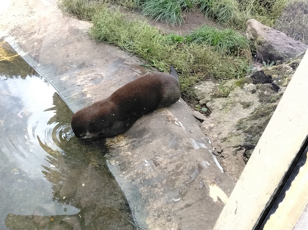 Thrigby Hall Wildlife Gardens-Filby必去景点