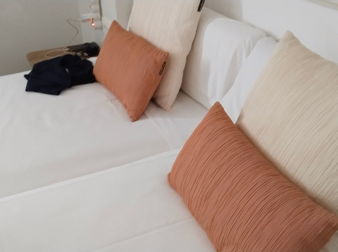 Hotel Ordizia主图
