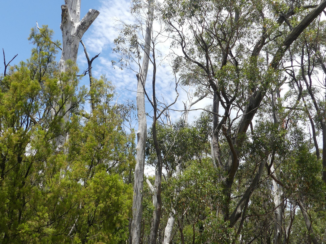 Cleland Conservation Park-阿德莱德必去景点