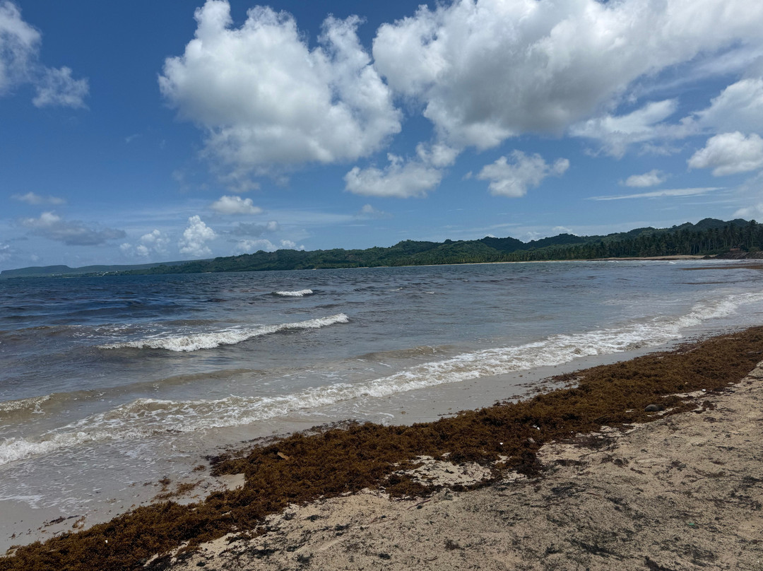 Playa Rincon-萨马纳半岛必去景点
