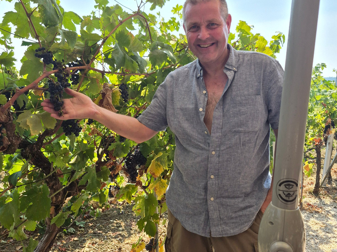 Winery Botaro-杜布罗夫尼克必去景点