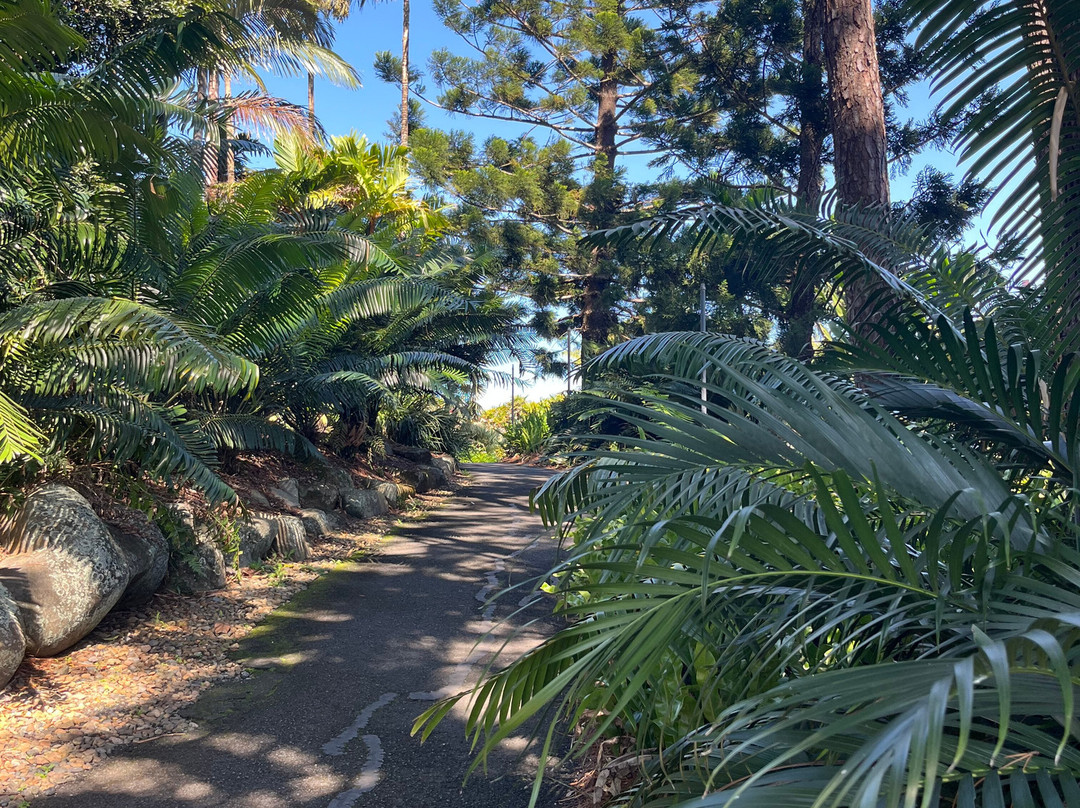 Mackay Regional Botanic Gardens-Mackay必去景点