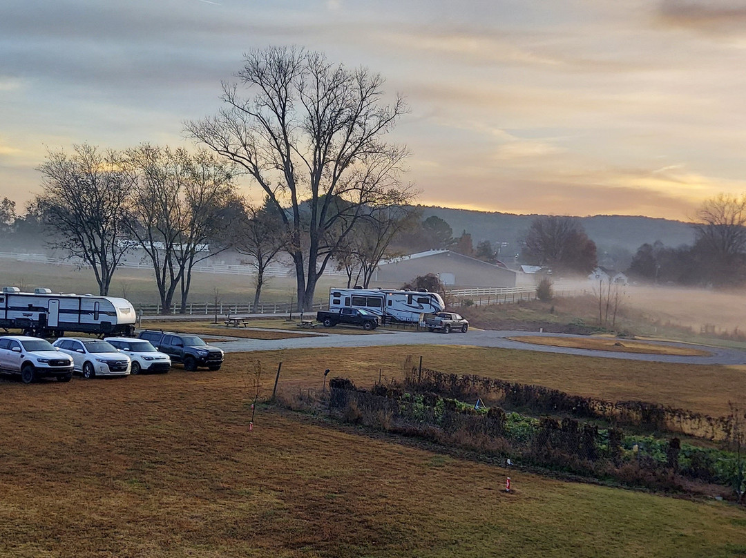 Misty Mornings Arkansas Cabins & RV Sites