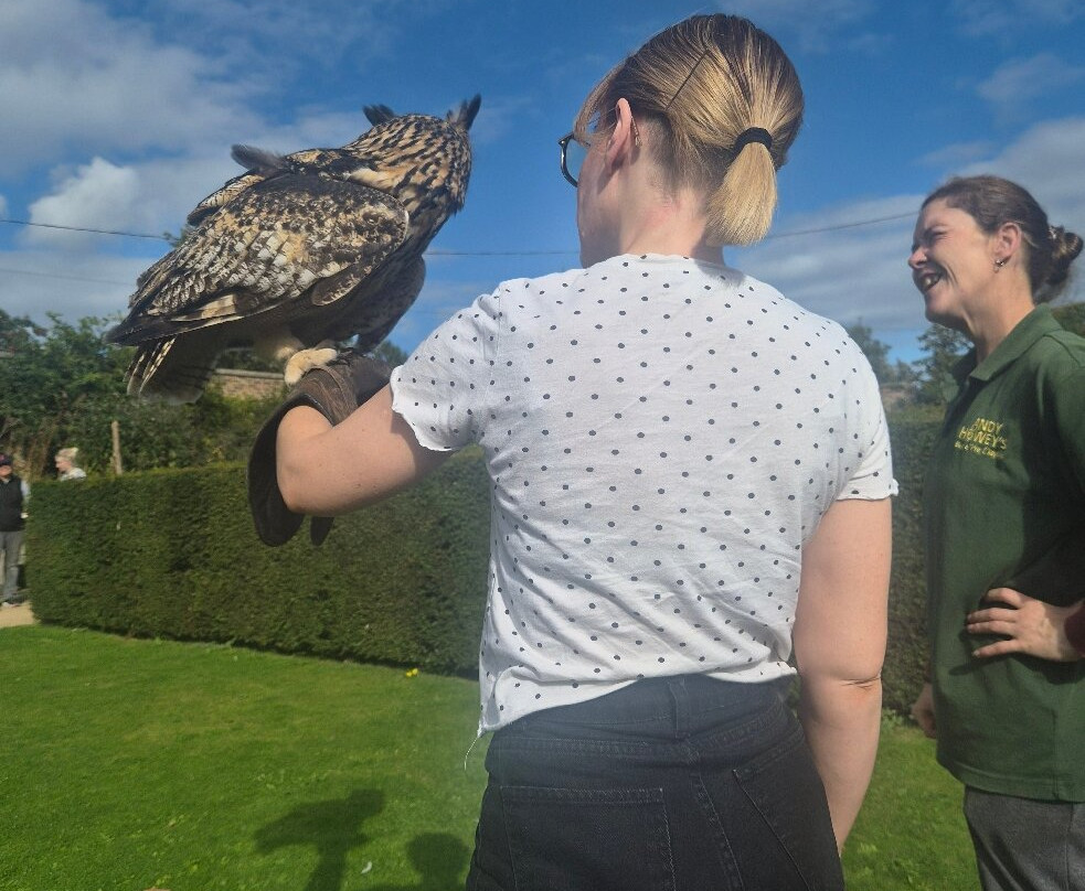 Andy Howeys Birds of Prey Centre-特威德河畔贝里克必去景点