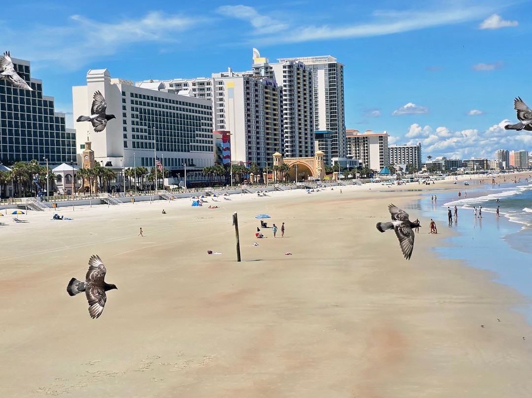 Beach at Daytona Beach-代托纳比奇必去景点
