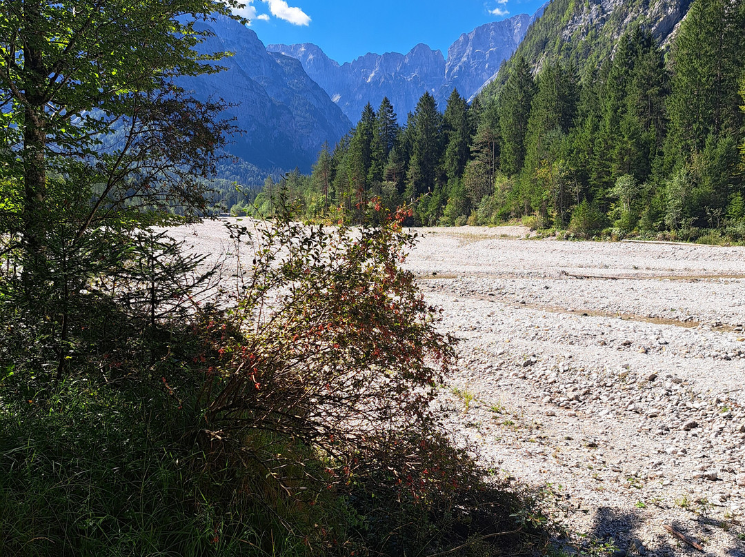 Sentiero degli Alberi di Risonanza-马尔博尔盖托瓦尔布鲁纳必去景点