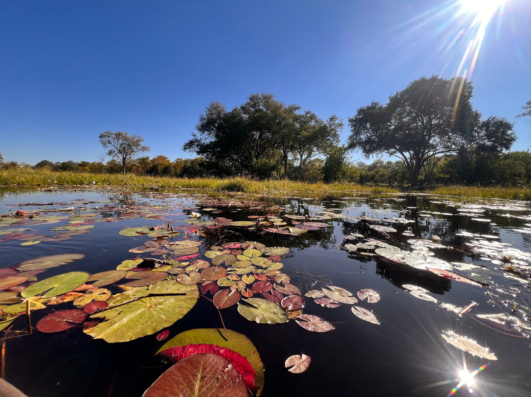 Okavango River-马翁必去景点