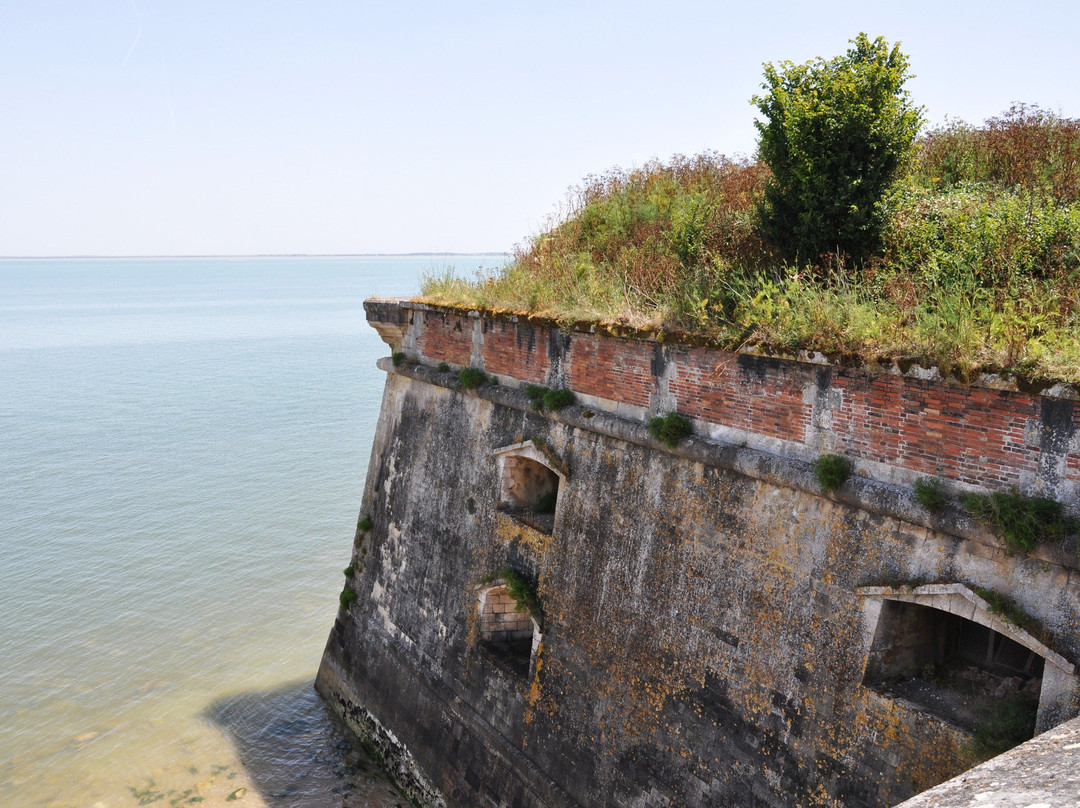 Citadelle du Chateau d'Oleron-Le Chateau d'Oleron必去景点