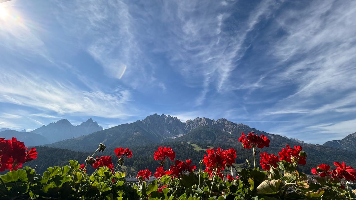 Naturhotel Leitlhof-旅行者